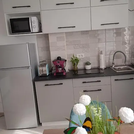 Apartment Timeea Mamaia-nord Navodari