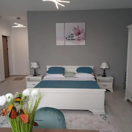 Timeea Mamaia-nord Lejlighed Năvodari