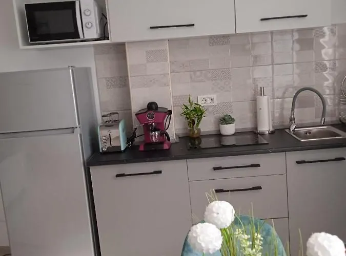 Apartment Timeea Mamaia-nord Navodari